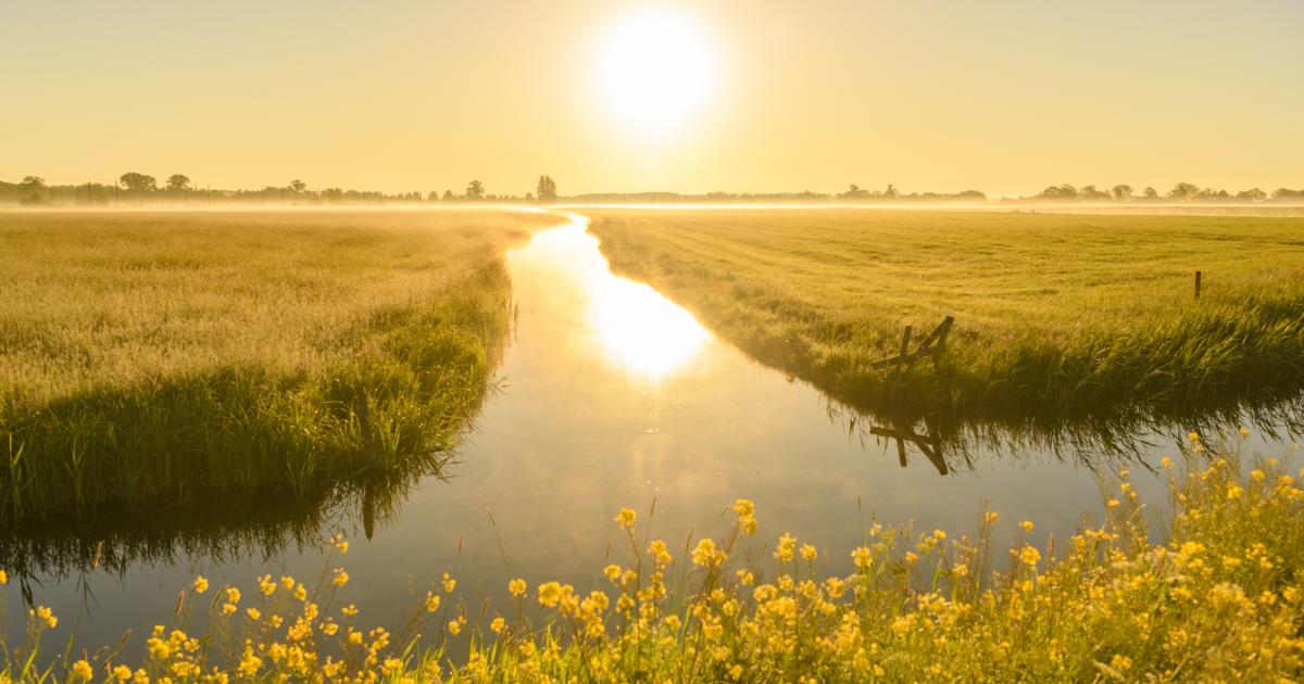 Commission launches call for evidence on water legislation