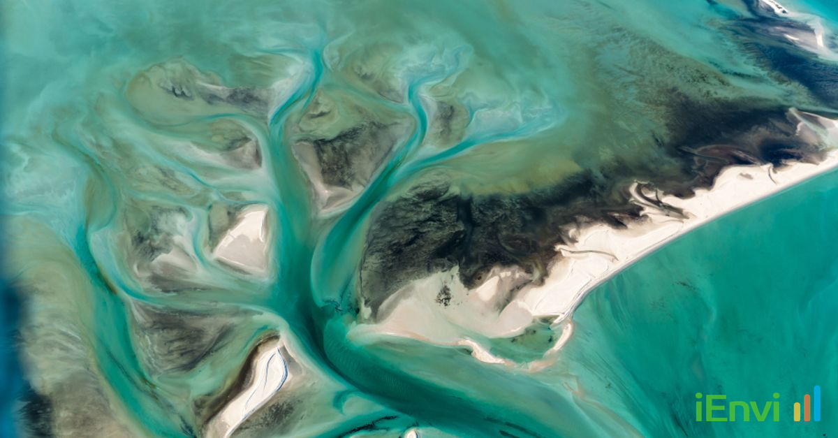 Indigenous-Led Restoration Pioneers Environmental Market Funding in WA