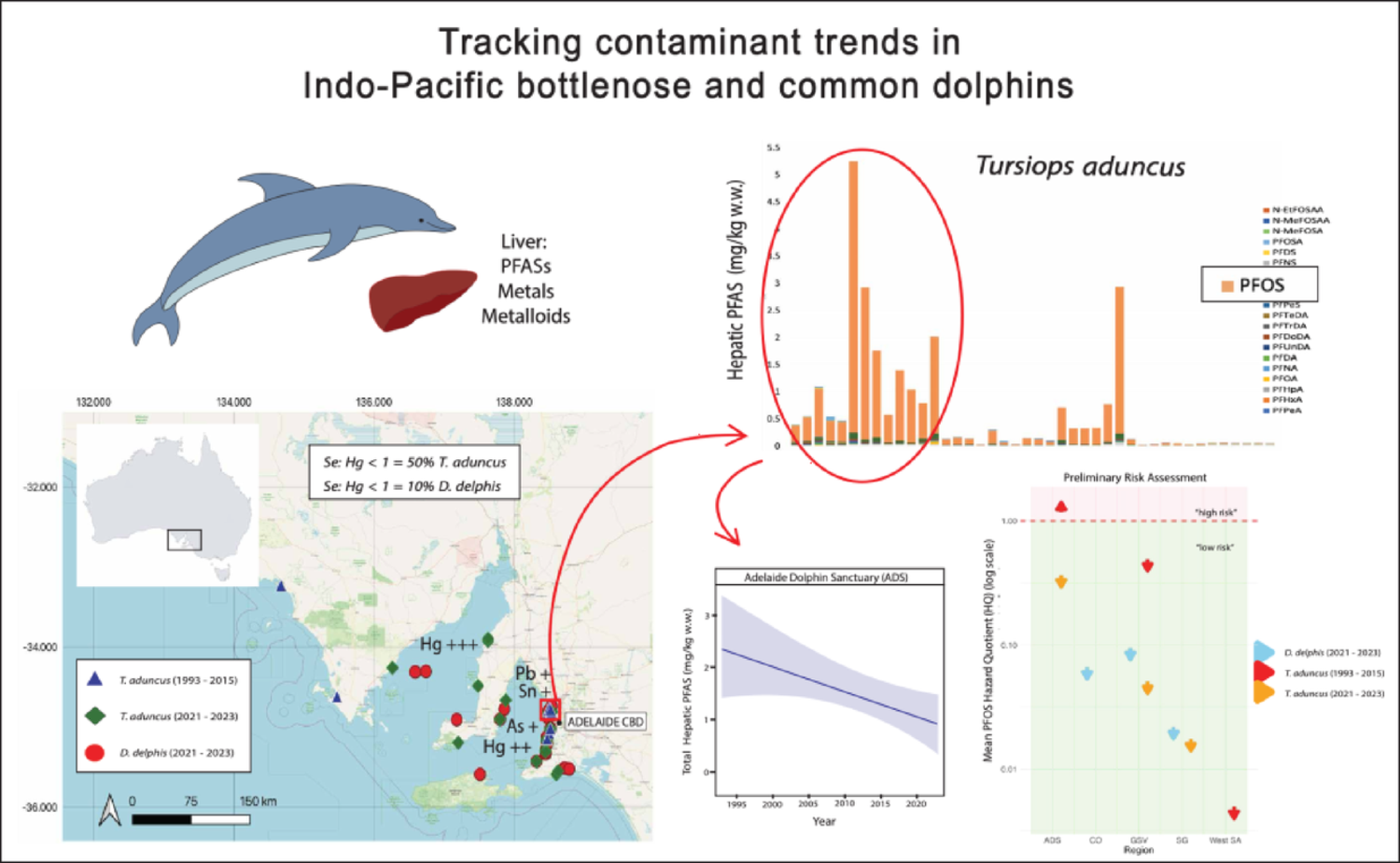 Tracking Contaminant Trends: PFAS, Metals and Metalloids in Indo-Pacific Bottlenose (Tursiops aduncus) and Common Dolphins (Delphinus delphis) from South Australia - Archives of En
