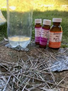 Perisher Valley groundwater sampling in snow