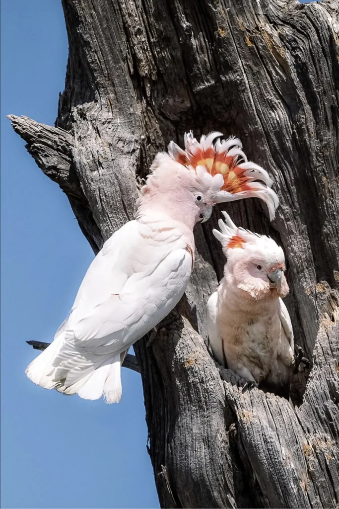 climatebiodiversity.org