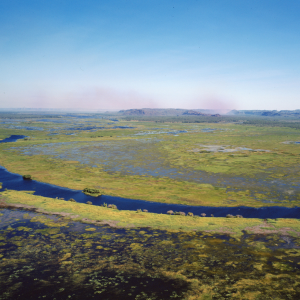 NESP releases framework for integrating climate risks into EPBC Act assessments