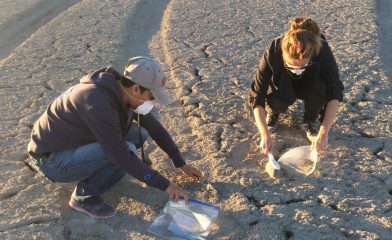 UC Irvine study reveals 70% of remediated LA homes still exceed lead thresholds, validating NEPM 2013 verification requirements.