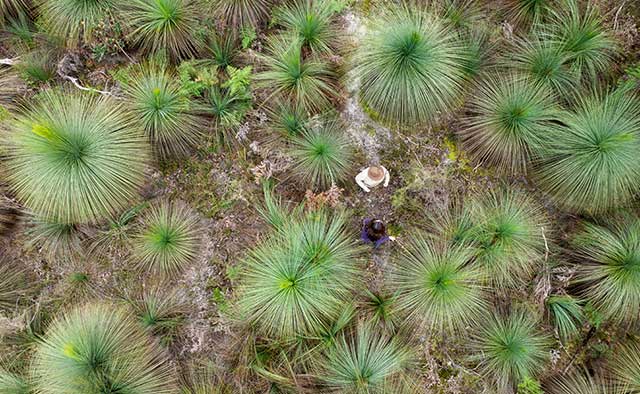 ALCA Report Highlights Mixed Progress on Private Land Conservation for 30x30 Target