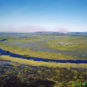 NESP releases framework for integrating climate risks into EPBC Act assessments