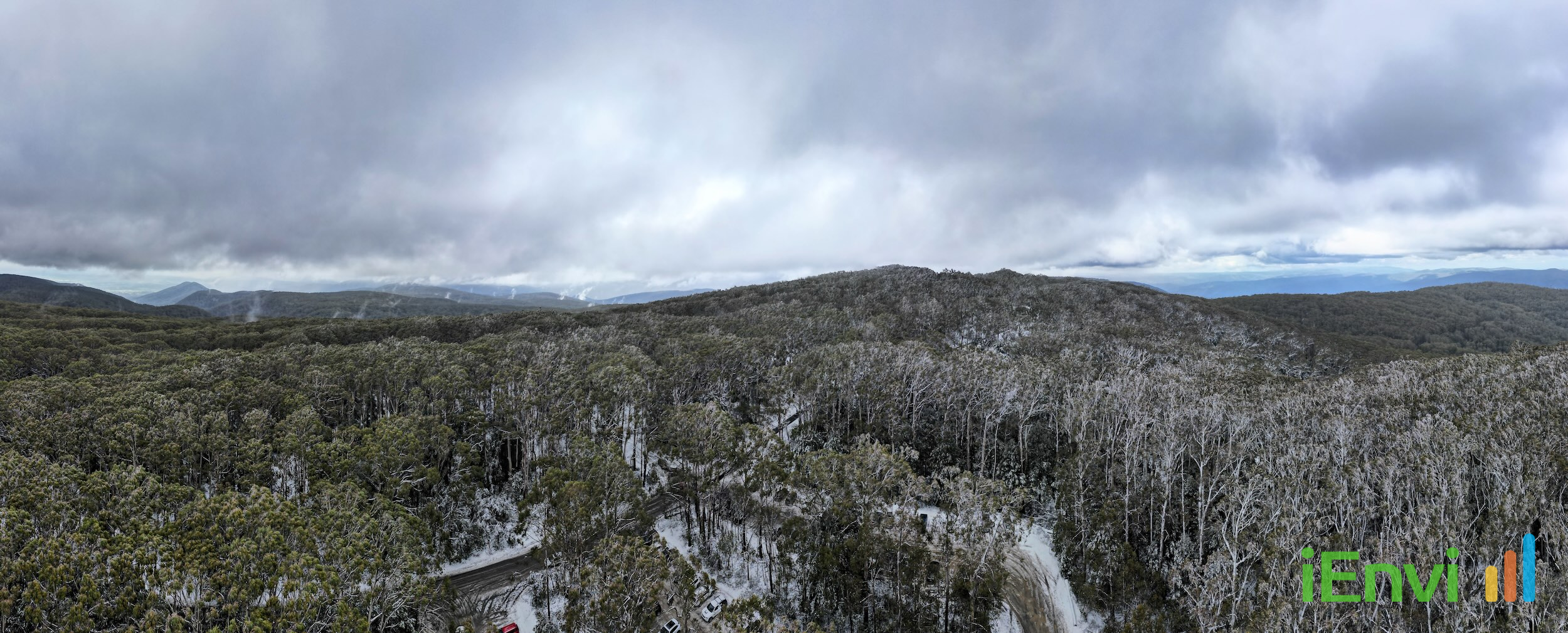 Mainland alpine ash forests declared endangered under EPBC Act