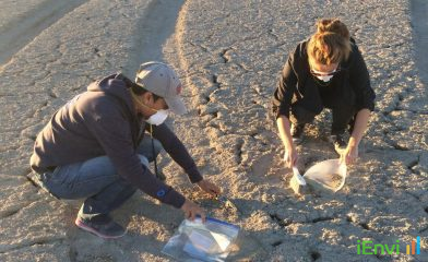 UC Irvine study reveals 70% of remediated LA homes still exceed lead thresholds, validating NEPM 2013 verification requirements.