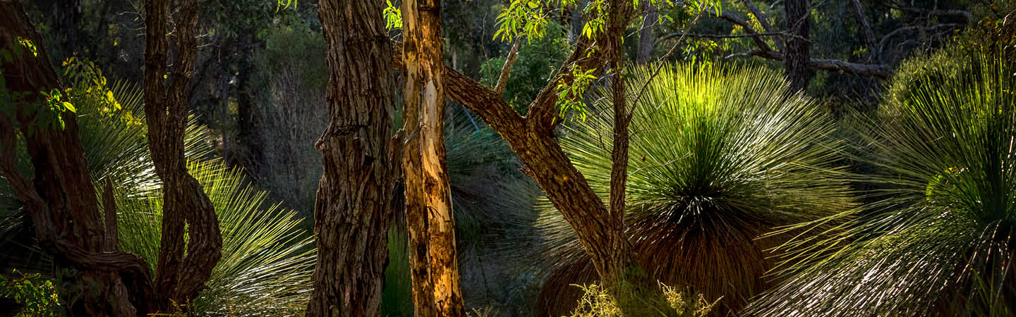 WA DWER launches new Priority Project Pathway to streamline environmental approvals.