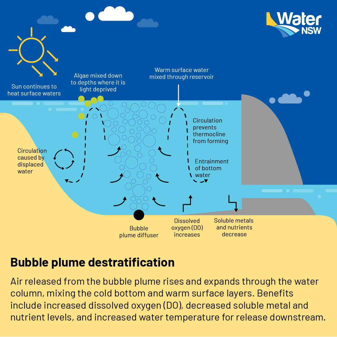 Pindari Dam bubble plume trial achieves 6 degree Celsius temperature lift to combat cold water pollution