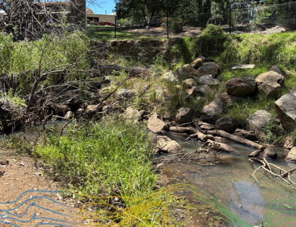 NECMA releases House Creek Remediation Plan for Platypus habitat restoration