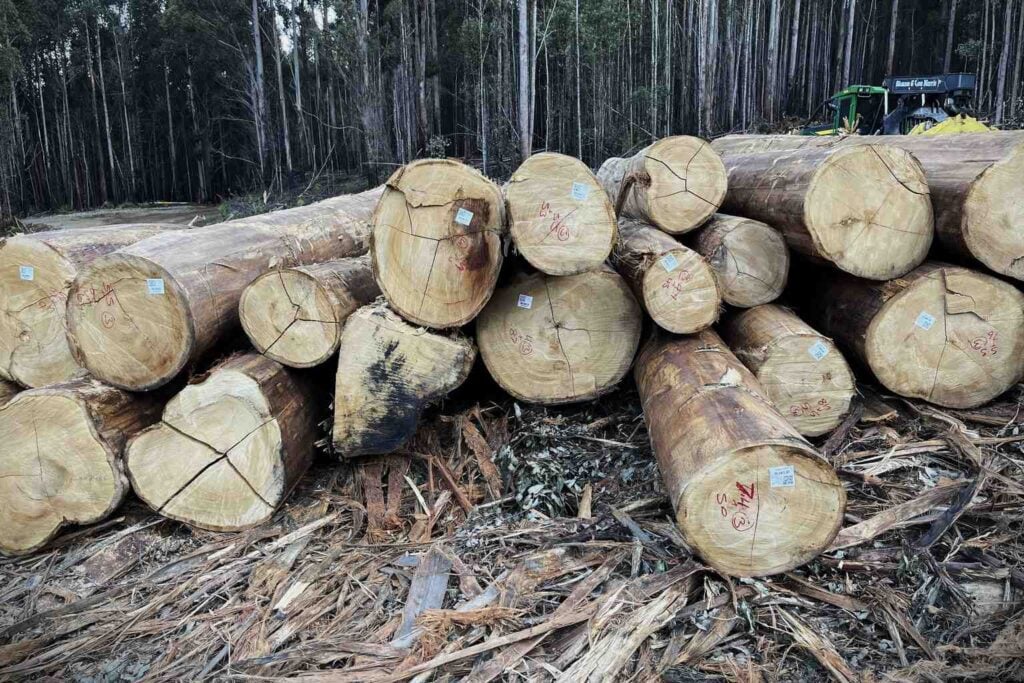 Primary source Federal and Tasmanian Governments Negotiate to Bring Forestry Under Federal Environment Law and New National Standards