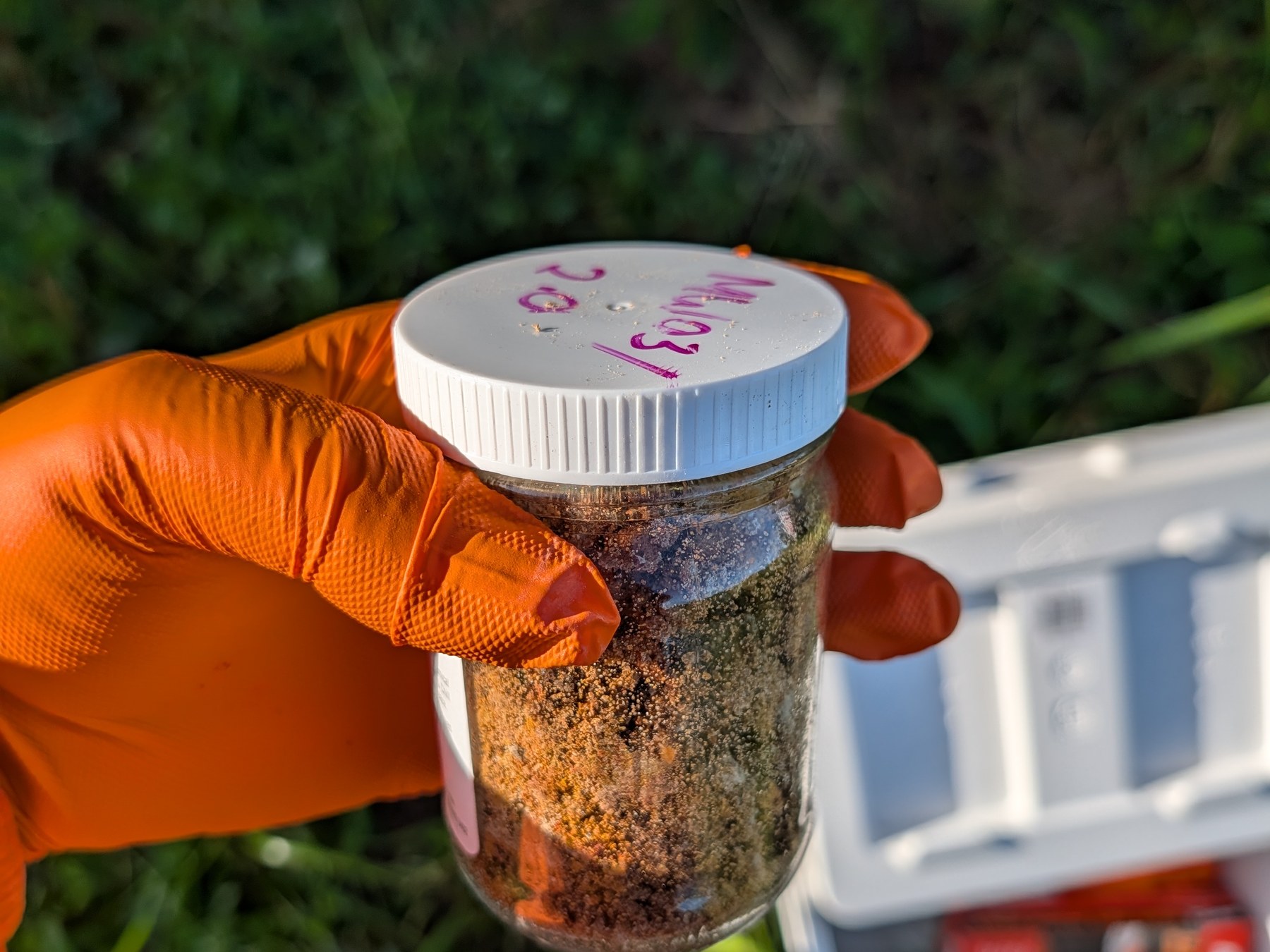 Labeled soil sample jar collected during contaminated land fieldwork for EMR removal Labeled soil sample jar collected during contaminated land fieldwork for EMR removal