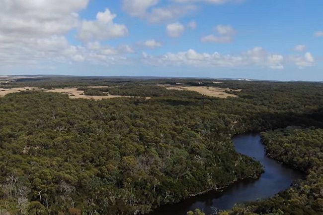 Primary source Rushy Lagoon Carbon Offset Controversy and Regulatory Implications