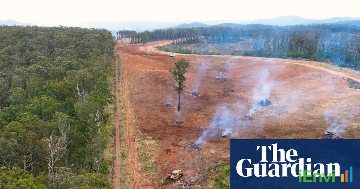 NSW Native Vegetation Clearing Surges 16% in 2024, Spurring Calls for Stricter Biodiversity Law Enforcement