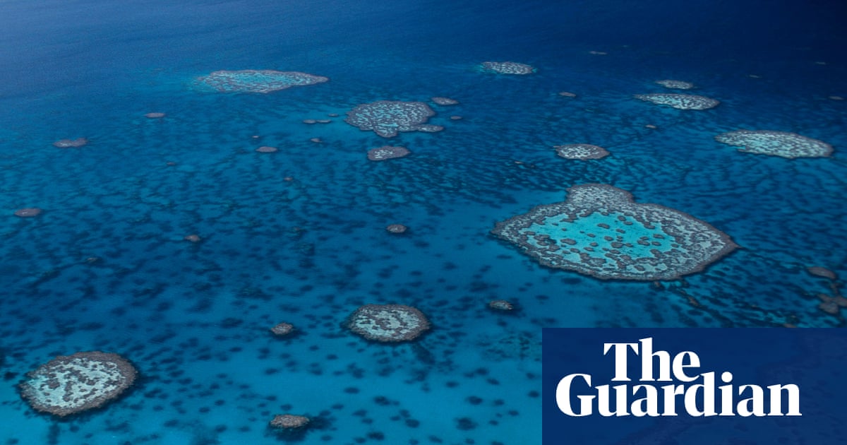 Great Barrier Reef microbiome mapped with 584 new bacterial species discovered