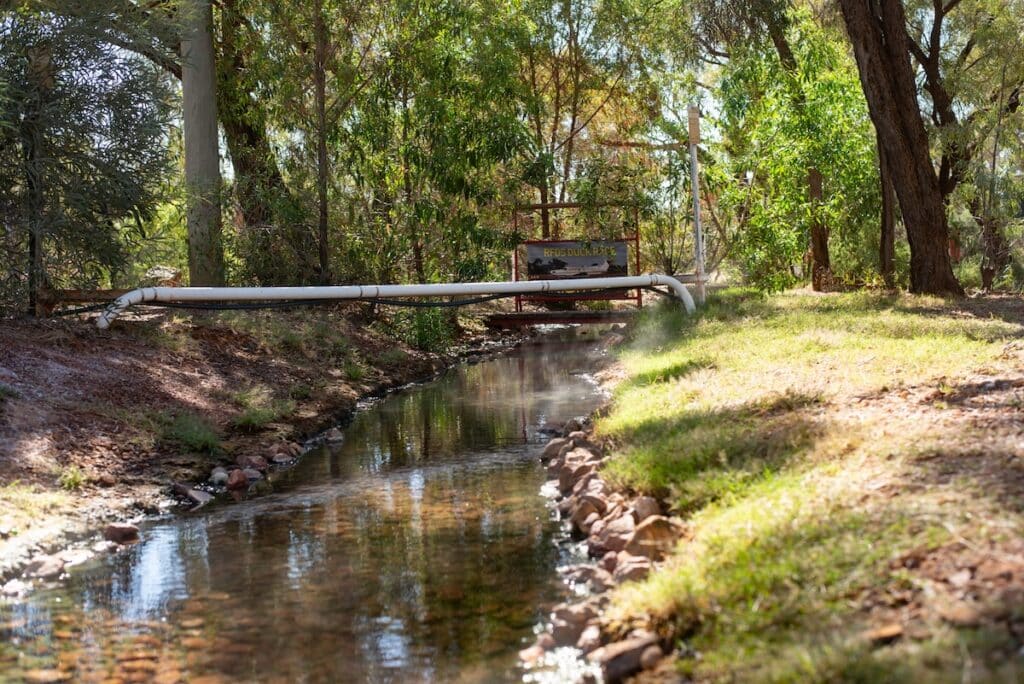 Great Artesian Basin Rehabilitation Programme saves 4,923 ML of groundwater