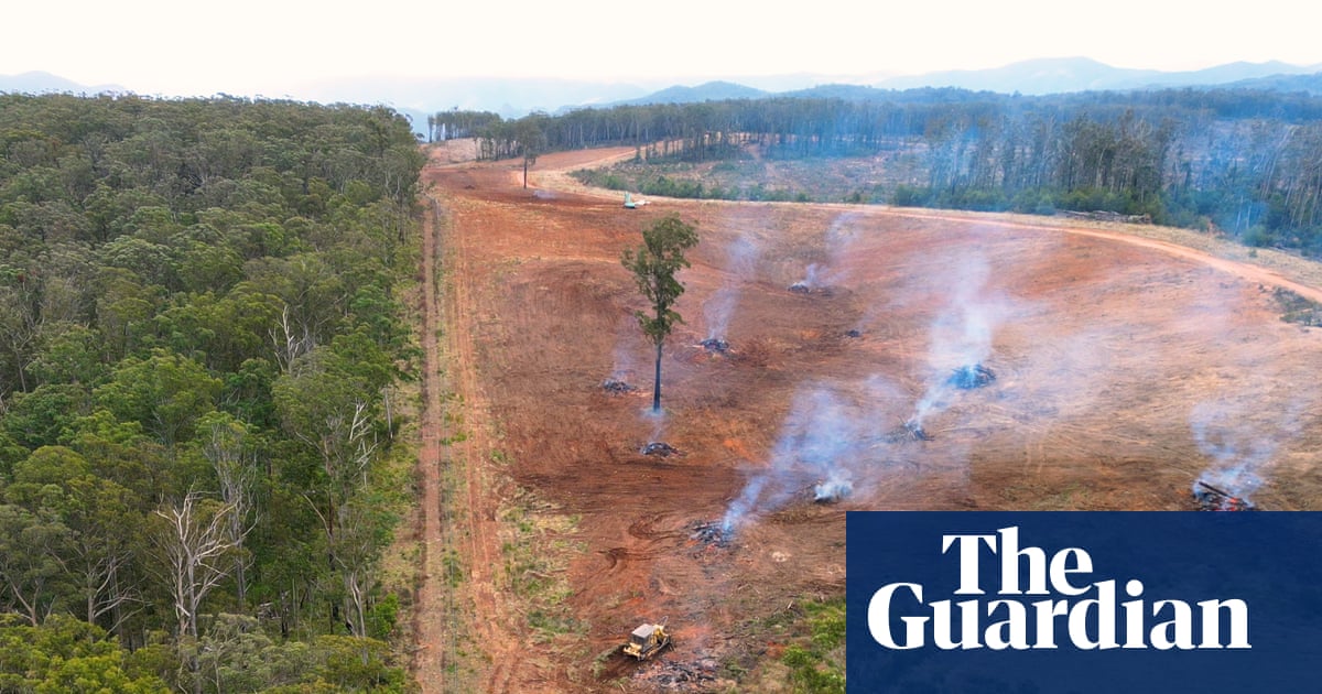 Primary source NSW Native Vegetation Clearing Surges 16% in 2024, Spurring Calls for Stricter Biodiversity Law Enforcement