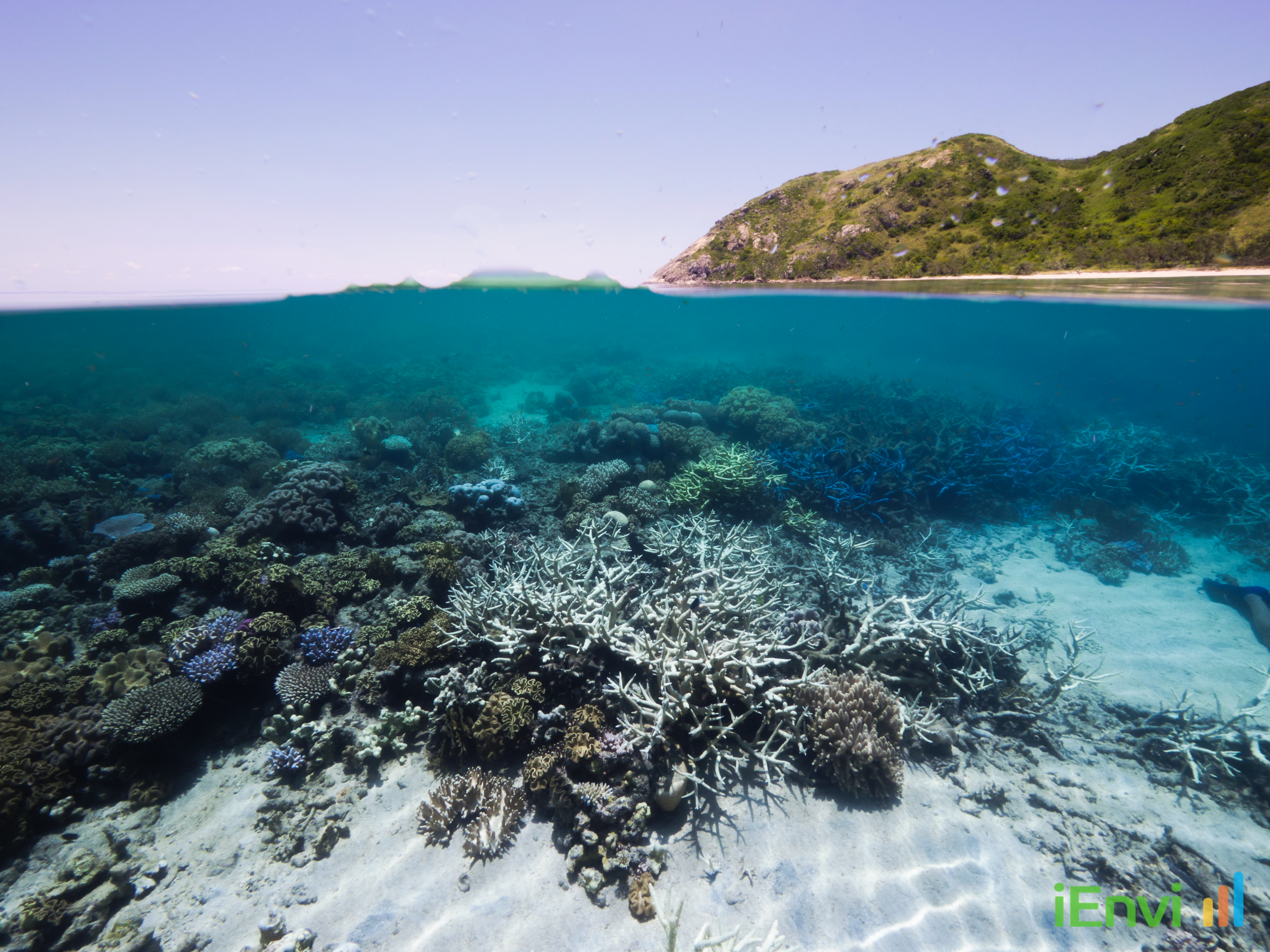 UNESCO Great Barrier Reef draft decision places Australia on notice