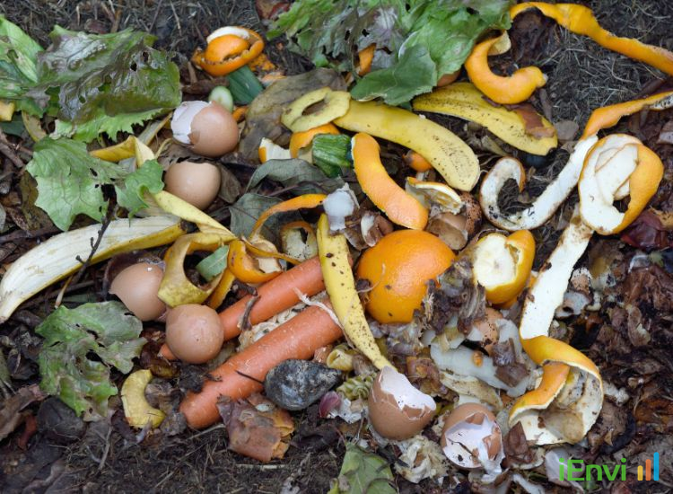 NSW FOGO business recycling mandate commences 1 July 2026 for large commercial waste generators