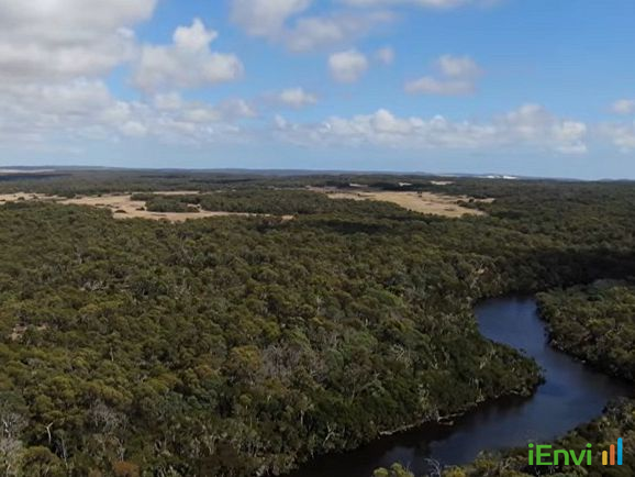 Rushy Lagoon Carbon Offset Controversy and Regulatory Implications