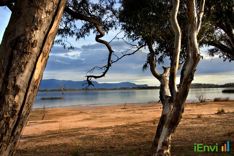 Banned Fungicide Benomyl Detected 141 Times in Victorian Raw Water Supplies