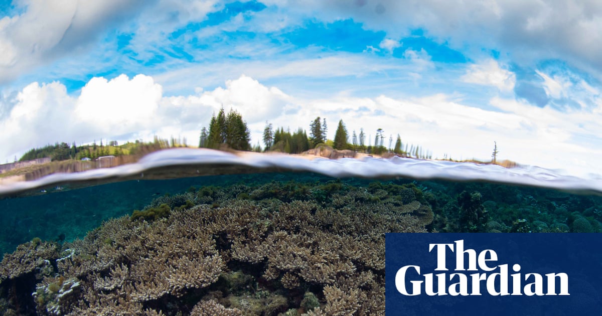 Norfolk Island's corals face triple threat from runoff, warming, and dredging