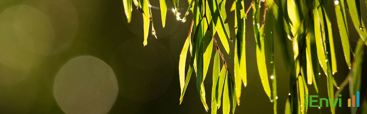 NSW Public Consultation Closes on Major Reforms to Transition Biodiversity Offsets Scheme to 'Net Positive' Outcomes