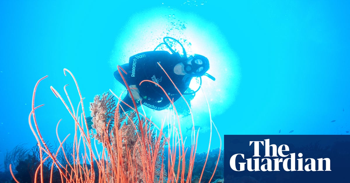 theguardian.com
