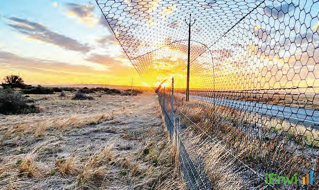 Adelaide University study warns Australia must retire farmland and restore native ecosystems to meet global 30% biodiversity targets