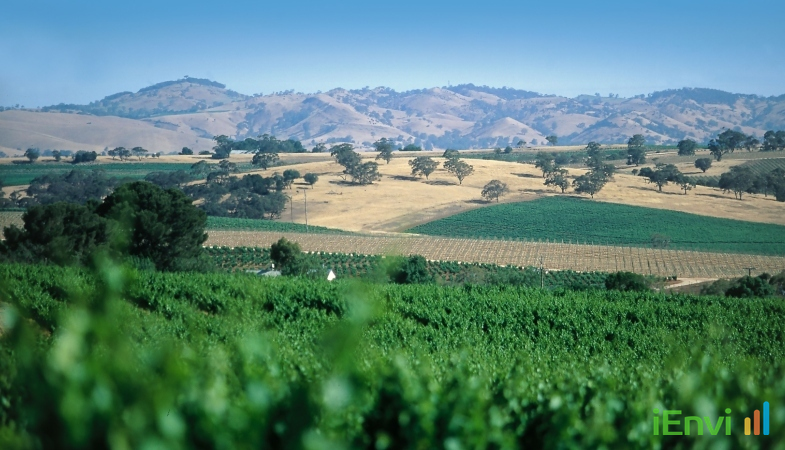 South Australian Government Allocates $3.84M Landscape Priorities Fund to Bolster Regional Climate Resilience and Ecological Restoration