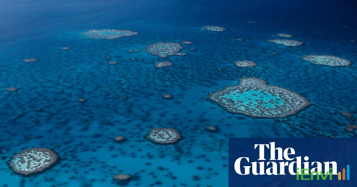 Great Barrier Reef microbiome mapped with 584 new bacterial species discovered
