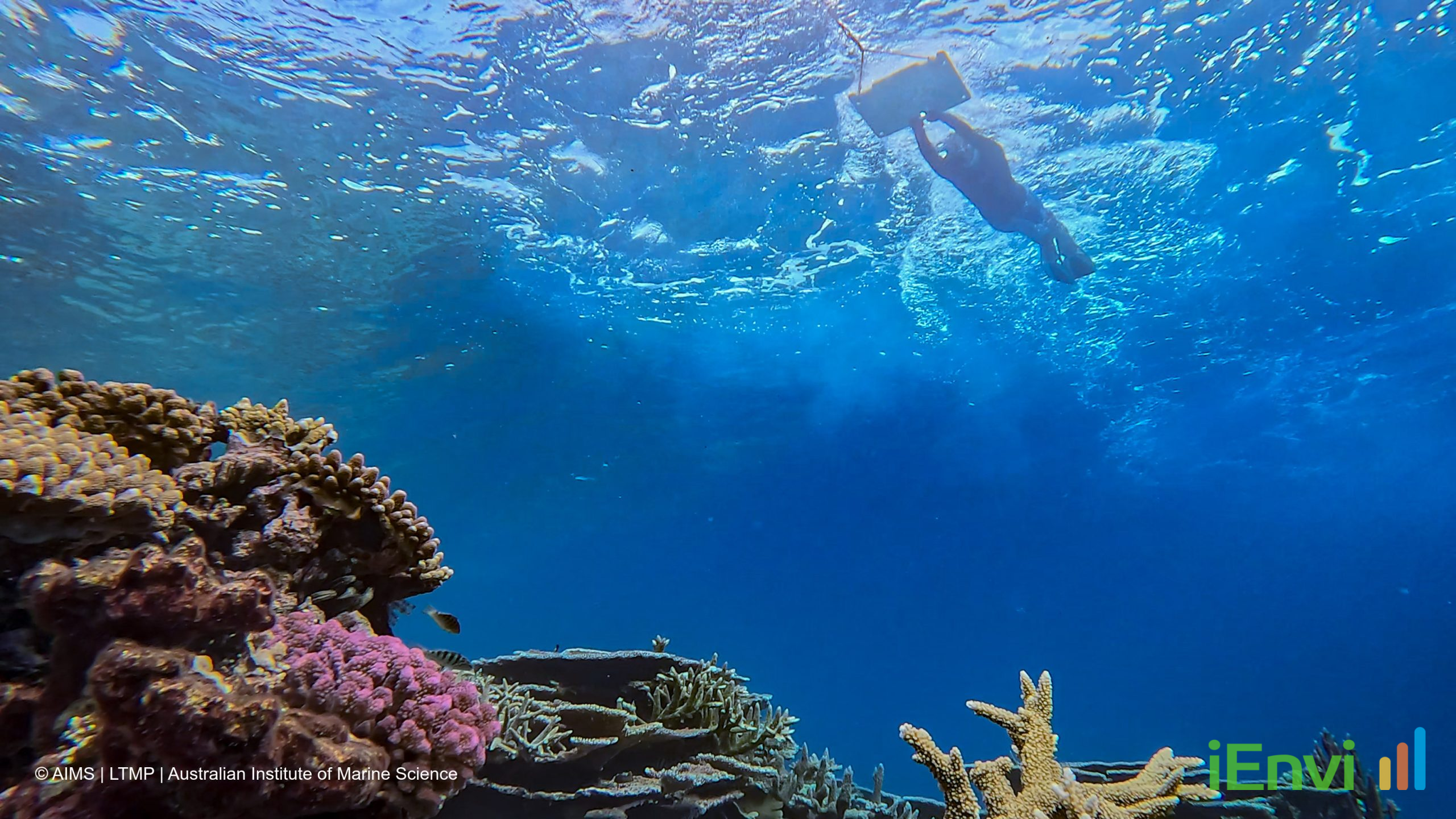 Joint Reef Water Quality Report Card 2023-2025 transitions framework to Reef 2050 Catchment Water Quality Strategy