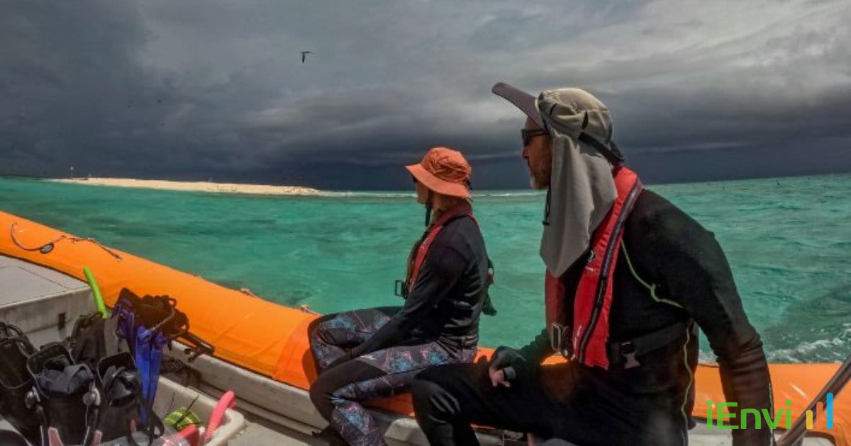 AIMS 2025-26 Reef Survey Shows Coral Stabilisation from Monsoon Cooling Amid Rising Crown-of-Thorns Outbreaks