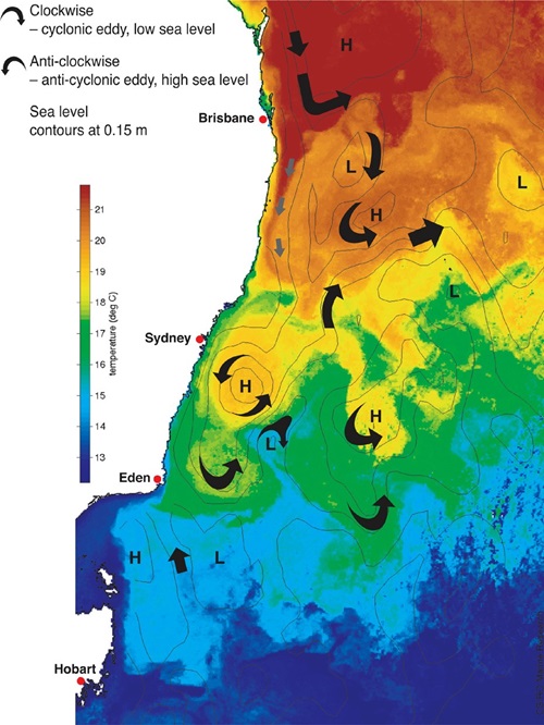 Australian Government renews Bluelink ocean forecasting partnership between CSIRO, BoM, and Defence