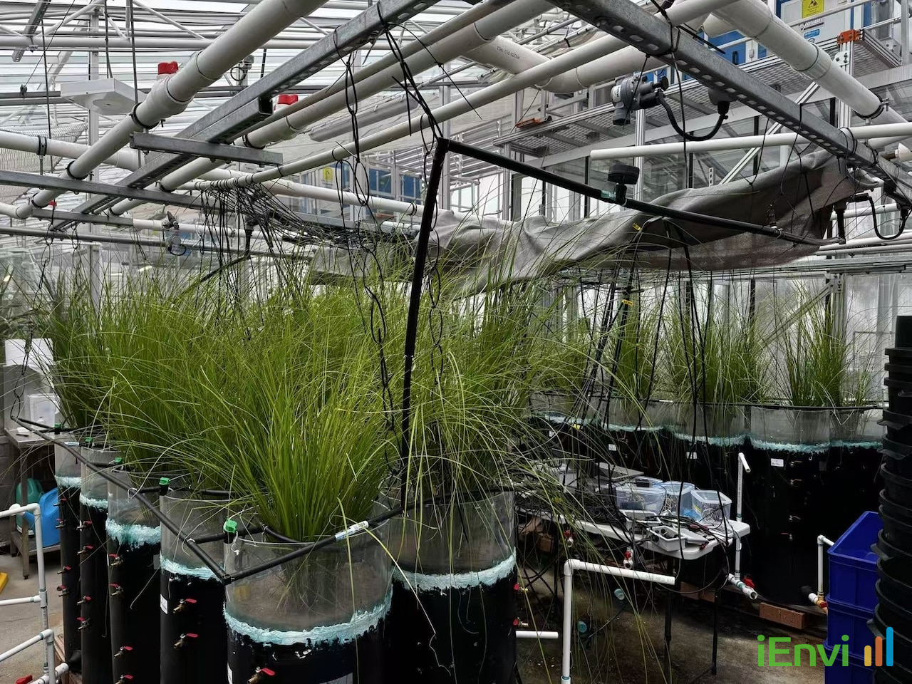 UNSW researchers develop smart biofilters to dynamically treat PFAS and stormwater pollutants
