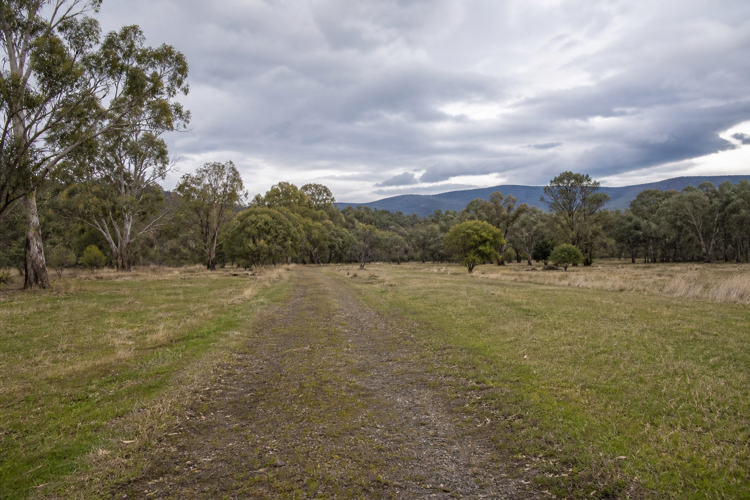 Council parkland on former railway land, Mansfield Victoria